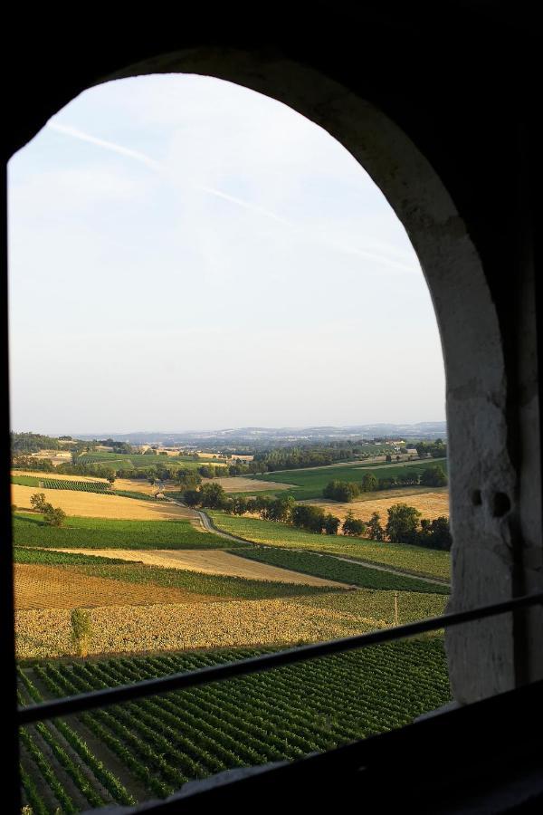 Отель Chateau De Salettes Cahuzac-sur-Vere Экстерьер фото