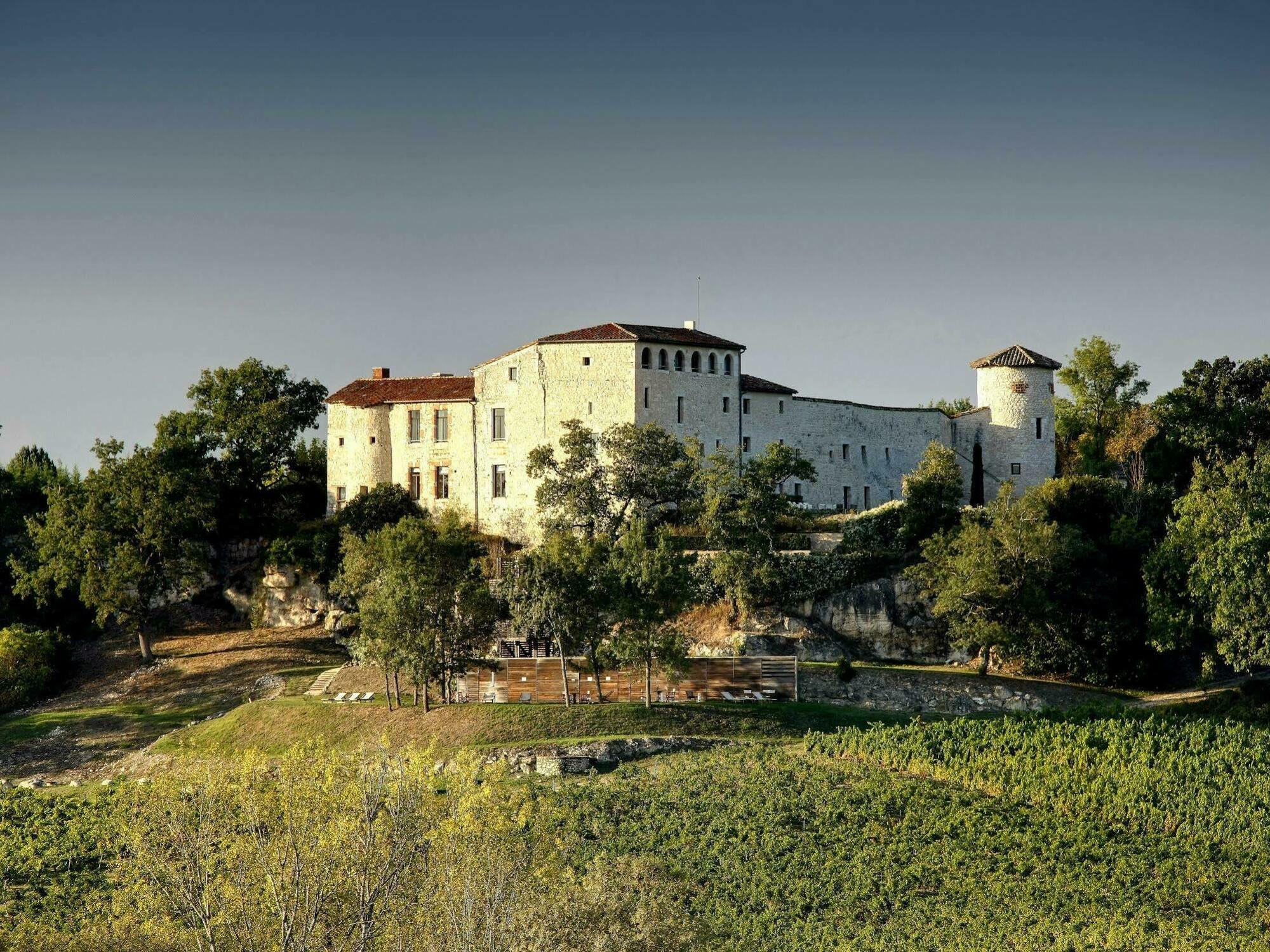 Chateau De Salettes Cahuzac-sur-Vere Экстерьер фото