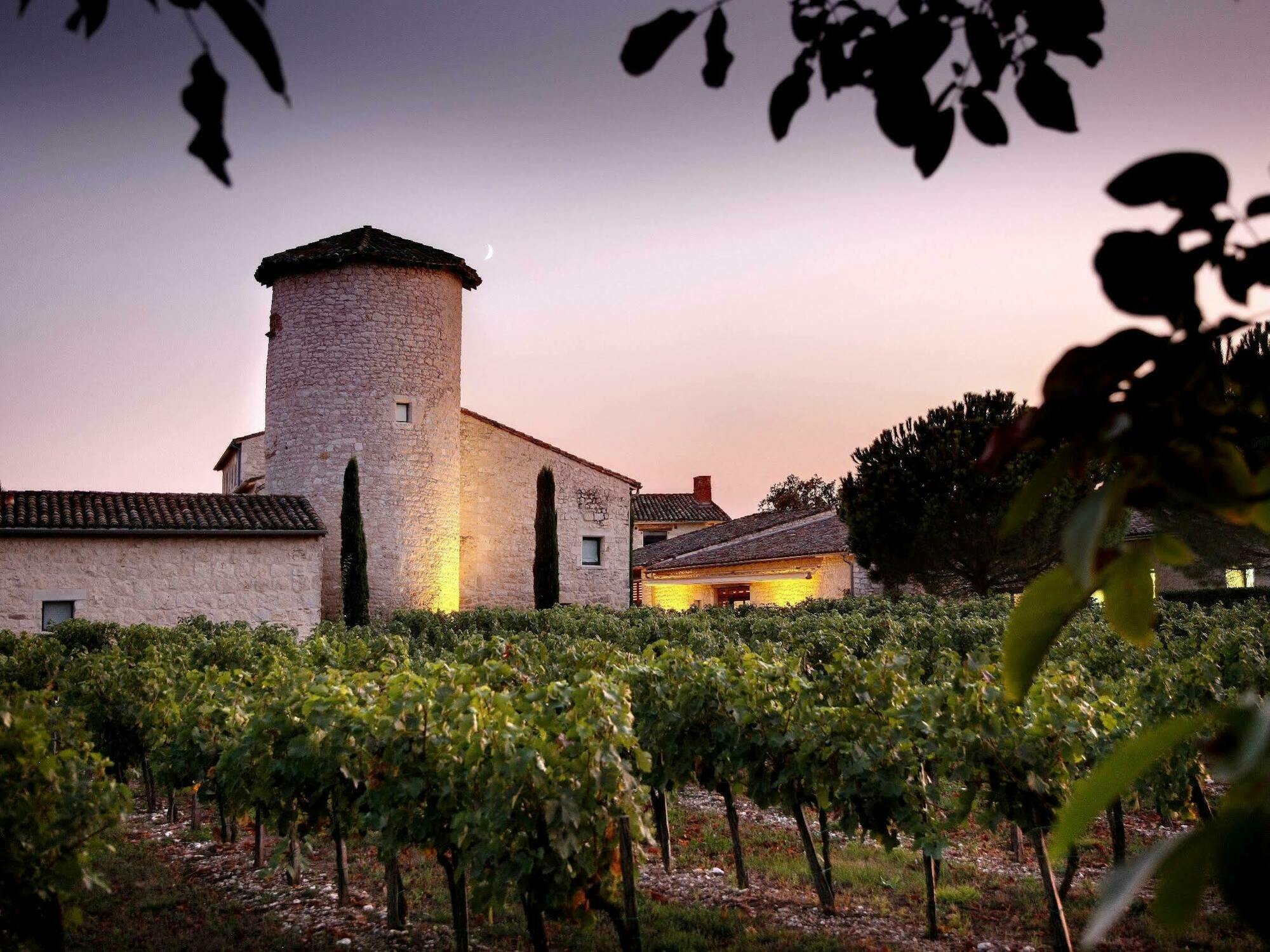 Chateau De Salettes Cahuzac-sur-Vere Экстерьер фото